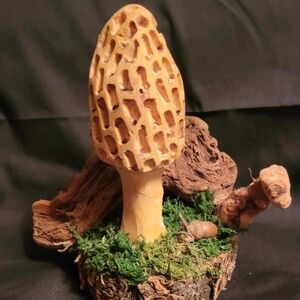 Rustic Morel Mushroom Wood Burned Sculpture
